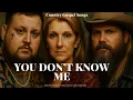 Chris Stapleton ft. Jelly Roll \u0026 Celine Dion – You Don't Know Me (New Country Gospel Song Tribute)