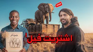 اشتريت فيل !!
