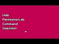 Web PentesterLab Command Injection