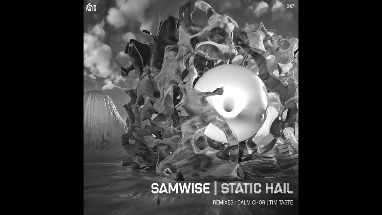 Samwise - Static Hail (TiM TASTE Remix)