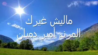ماليش غيرك   أمير دميان دندنها
