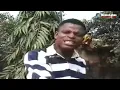 AMIN MAN - OGHOMWENKHION OGHOGHO [BENIN MUSIC VIDEO] | AMIN MAN MUSIC