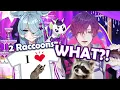 Uki's raccoon filled birthday stream [ UKI VIOLETA | NIJISANJI ]