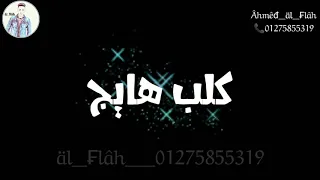 حالات واتس فاجره     بركان النمايج دندنها