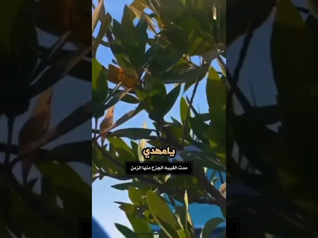 اللهم عجل لوليك الفرج