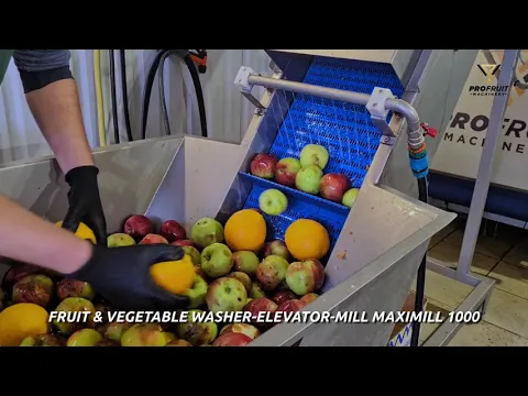 Fruit and Vegetable Washer Elevator Mill