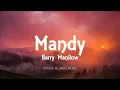 Download Lagu Barry Manilow - Mandy (Lyrics)