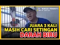 Lagu Rawatan Murai Emosi Tinggi ‼️ Murai Darah Biru Dirubah Jangkrik \u0026 Ulat Hongkong