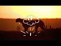 Dlala Thukzin, Kabza De Small, MK Productions - Muthi ft. Zeh McGeba, Masuda (Lyrics)