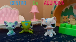 CENTRO de ADOPCIÓN 🐱 🧑‍🧑‍🧒