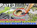 Download Lagu Part 3❗️Ngeri,Kali Mati Kirana Bukan Hanya Lumpur Setelah Dibongkar Isinya Mengejutkan
