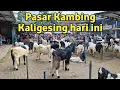 Download Lagu Pasar Kambing Kaligesing hari ini 12 Juli 2025
