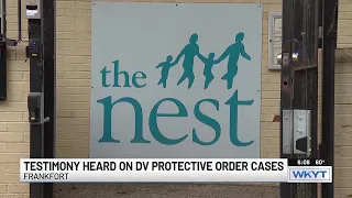 Committee hears testimony on domestic violence protective order cases in Ky courts