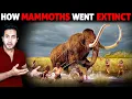 Who Killed The BIGGEST LAND ANIMALS - Wooly Mammoths?