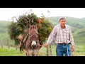 Lagu LEÑA cortada SIN HACHAS por ORDEN de los REYES. Transporte en BURRO y su uso para guisar