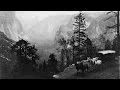 KQED NEWSROOM Net Neutrality Yosemite at 150 Redwood Burl Poaching June 27 2014
