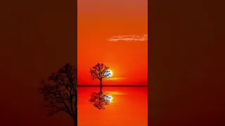 قرآن مقطع قصير علي جابر 