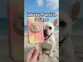 How I made a labubu popsicle unbox and freeze big into energy