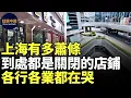 Download Lagu 🔥 上海有多蕭條，到處都是關閉的店鋪；上海各行各業都在哭，基本都不賺錢了，消費都降級了；還沒開業就已經歇業了，1000多平的新商場，20個商家都裝修好了，還沒開始營業就全部關閉了｜上海經濟｜#話題中國