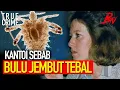CUKUR DULU BULU JEMBUT SEBELUM BUAT JENAYAH