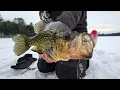 Chasing Down Giant Slab Rap Eating Northwoods Crappies - In Depth Outdoors TV S16 E8