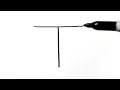 How to Draw a Turtle After Writing Alphabet Letter T - LetterToons Coloring Book