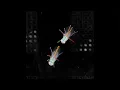 Princeton Innovation AI-based motion capture for animals