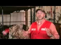 How to Set Up a Hunting Blind Tractor Supply Co