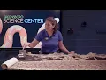 GCSchoolsNC Live Stream