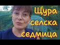 Download Lagu Щура селска седмица: ремонти, фестивали, първите картофи и… коте в чекмедже!