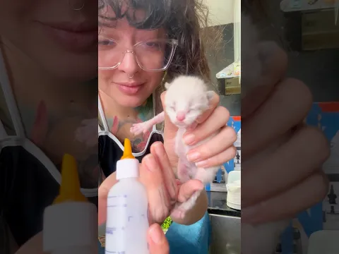 De la calle a un hogar seguro: Día 1 🐾