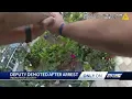 Indian River County deputy demoted after investigation concludes misconduct during arrest