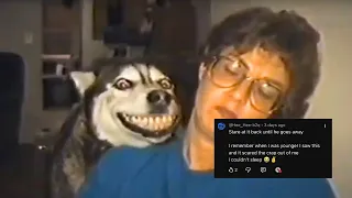                                               دندنها
