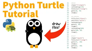 How to Use Python Turtle in Repl it Penguin Coding School Tutorial
