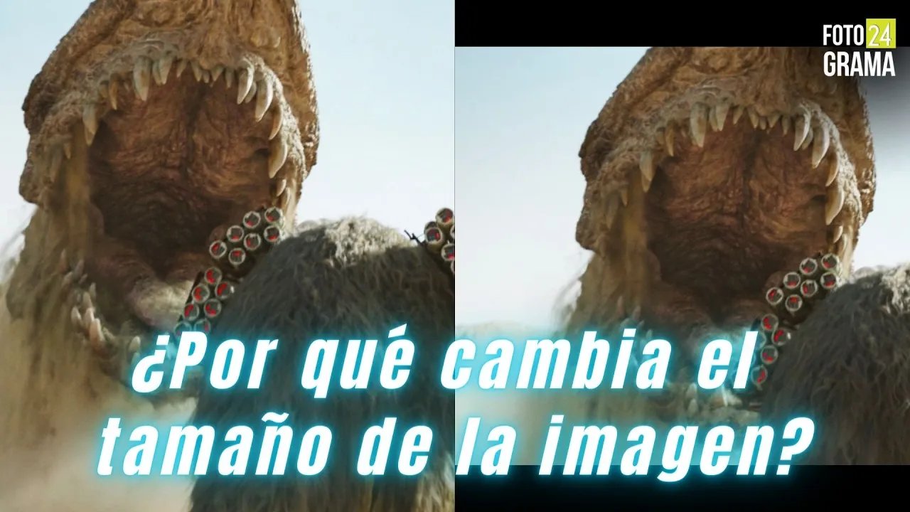 ¿Por qué Cambia de Tamaño la Imagen? El Objetivo de la Relación de Aspecto | Fotograma 24