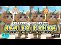 Download Lagu NAN KO PAHAM SU JAUH SA TANAM KUCING TERBARU 2025