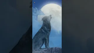 Wolf Sounds Wolves Howling At Moon 