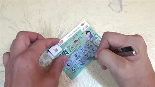                                       دندنها