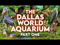 Zoo Tours The Dallas World Aquarium PART ONE