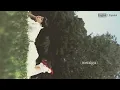 selines - relive (Visualizer)