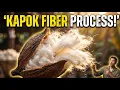 Kapok Fiber Processing Kapok Fiber Manufacturing Process