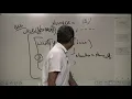 Java Program to print the Prime factor of a number taken from user-Java for All