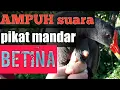 Download Lagu Suara pIKAT MANDAR BATU