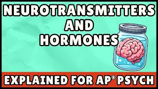 Neurotransmitters and Hormones AP Psychology Quick Guide