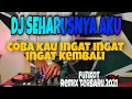 Download Lagu DJ COBA KAU INGAT INGAT KEMBALI || SEHARUSNYA AKU FUNKOT REMIX TERBARU 2021