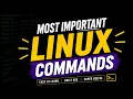 Top Linux Commands Every DevOps Engineer Uses Daily