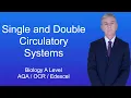 A Level Biology Revision Single and Double Circulatory Systems