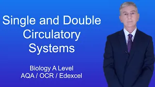 A Level Biology Revision Single and Double Circulatory Systems