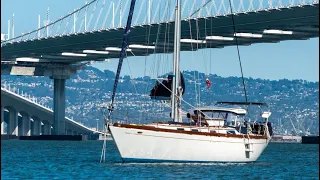 Investigating a Toxic Island | Treasure Island | Sailing Avocet