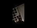 Download Lagu Sjunger lattjo lajban i jönköping med macko....just for fun